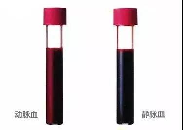 這些“有問(wèn)題”的顏色